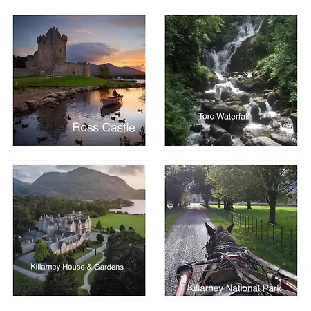 Gasthof Country View House 4*