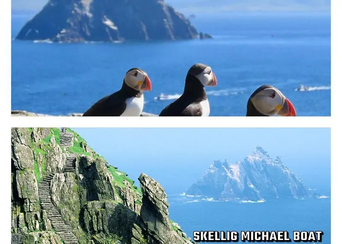 Country View House Guest house 4*